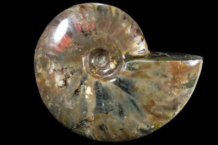 Iridescent Red Flash Ammonite - Madagascar #81377